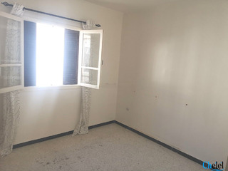 Location F3 Annaba - 4