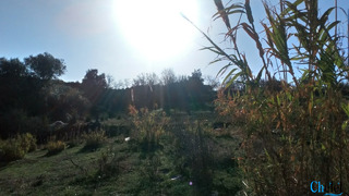 Vente Lot de Terrain  Ain tagourait Tipaza - 3