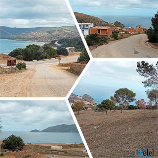 Vente Terrains Beni haoua Chlef