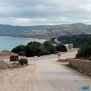 Vente Terrains Beni haoua Chlef - 2