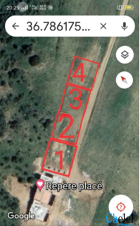 Vente Terrains  Zemmouri Boumerdes - 4