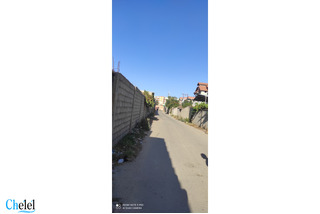 Vente Terrain Alger Bordj El Kiffan Dargana - 2