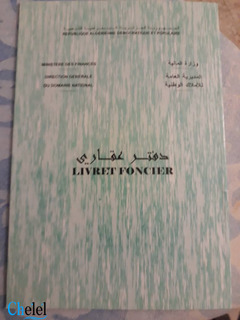 Vente Terrain Tizi Ouzou Ouadhia - 11