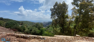 Vente Terrain Alger Bouzareah