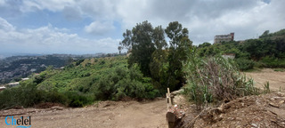 Vente Terrain Alger Bouzareah - 2