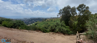 Vente Terrain Alger Bouzareah - 3