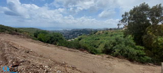 Vente Terrain Alger Bouzareah - 4