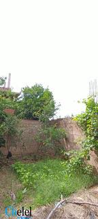 Vente Villa R+1 Boumaiza Skikda - 12