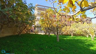 Vente Terrain Blida Ouled Selama - 4