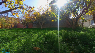 Vente Terrain Blida Ouled Selama - 6