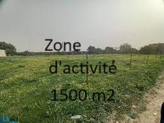 Vente Terrain Alger Baraki