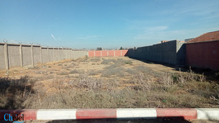 Vente Terrain Blida Boufarik