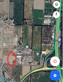 Vente Terrain Blida Boufarik - 2