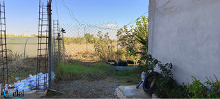 Vente Terrain Alger Rouiba - 8