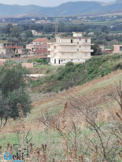 Vente Terrain Boumerdès Bordj Menaiel