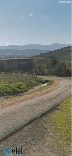 Vente terrain agricole Boumerdès Bordj Menaiel - 2