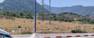 Vente Terrain Jijel El Aouana - 2