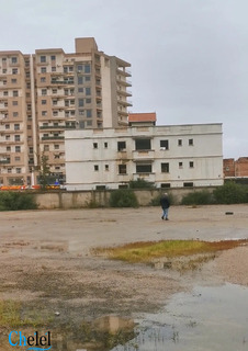 Vente Terrain Alger Reghaia