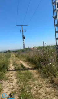 Vente Terrain Agricole Tipaza Attatba - 2