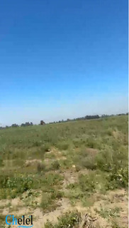 Vente Terrain Agricole Tipaza Attatba - 3
