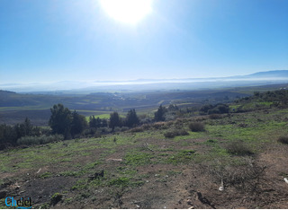 Vente Terrain Bouira Ain-Bessem - 3