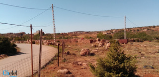 Terrain Agricole A Vendre Terny Tlemcen