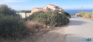 Vente Terrain Cherchell Tipaza - 2