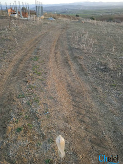 ارض للبيع بالعامرة - 2