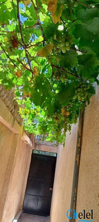 Vente Villa Ain el assel El Taref - 6
