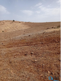 Vente Terrain Agricole Souagui Medea - 2