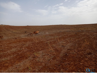 Vente Terrain Agricole Souagui Medea - 5