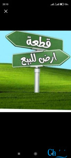 Vente Terrain Maghnia Tlemcen