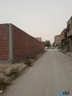 Vente Terrain Batna Ville - 2