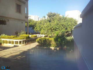 Villa 500 m2 bâti 180 m2 avec un jardin - 2