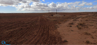 Vente Terrain Agricole Djelfa Ain Oussara - 5