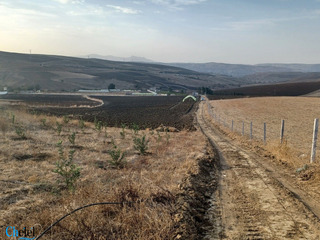 Vente Terrain Agricole Zighoud Youcef Constantine - 4