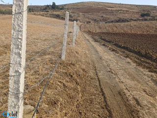 Vente Terrain Agricole Zighoud Youcef Constantine - 12