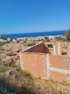 Vente Terrain Sidi Ghiles Tipaza - 3
