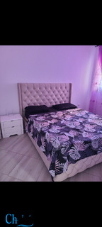 Location studio Tipaza Bou Ismaïl - 9