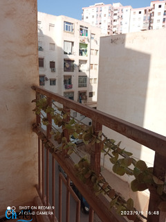 Vente ou Echange F3 Oran Bir El Djir - 5