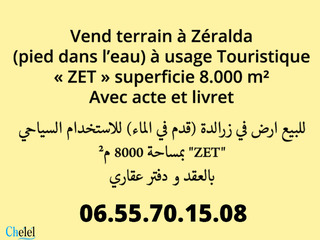 Vente Terrain Touristique Alger Zeralda